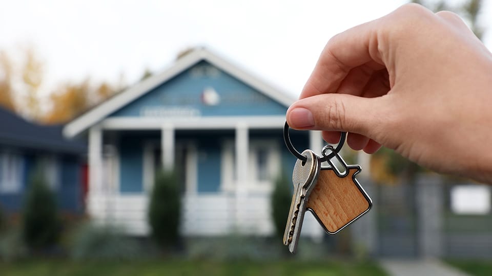 Residential Handyman Services